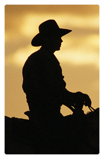 DF35T 360 BZ Cowboy Bronze